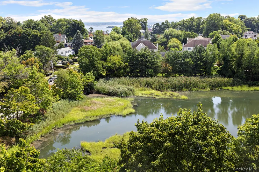 230 Pelham Road #4L New Rochelle, NY 10805