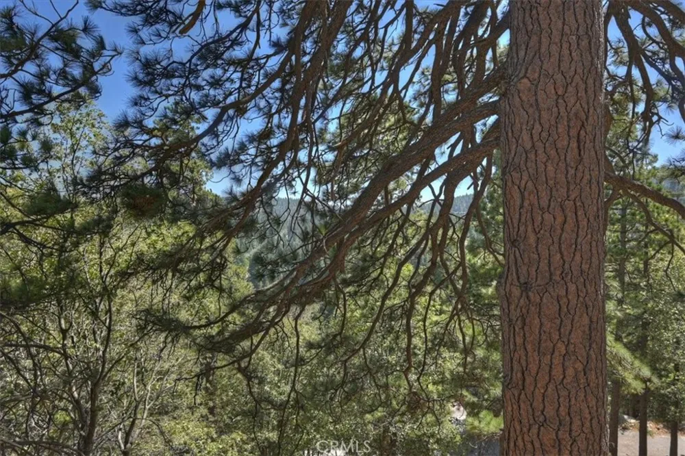 26525 Walnut Hills Lake Arrowhead, CA 92352