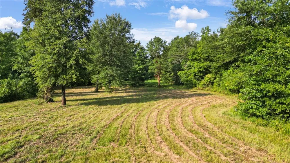 102 Private Road 3174 Gilmer, TX 75644