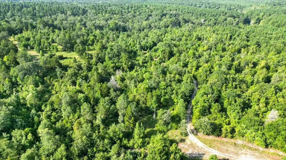 102 Private Road 3174 Gilmer, TX 75644
