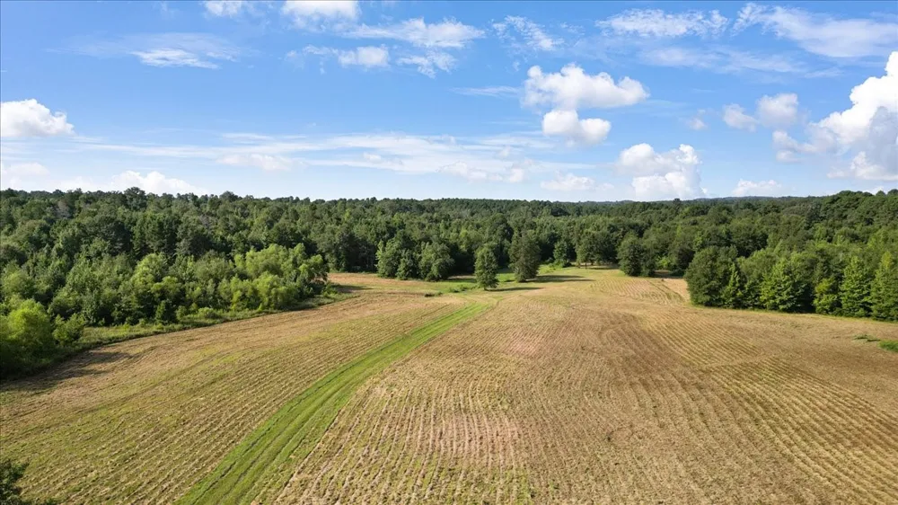 102 Private Road 3174 Gilmer, TX 75644
