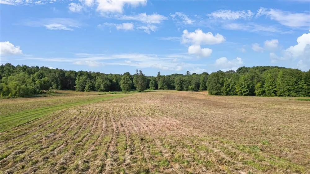 102 Private Road 3174 Gilmer, TX 75644