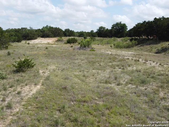 233 ROSINWEED DR Spring Branch, TX 78070