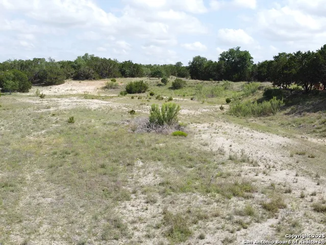 233 ROSINWEED DR Spring Branch, TX 78070
