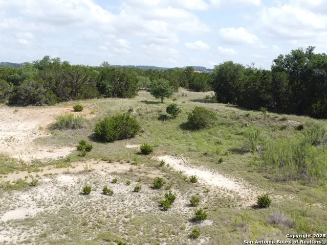 233 ROSINWEED DR Spring Branch, TX 78070