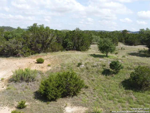 233 ROSINWEED DR Spring Branch, TX 78070