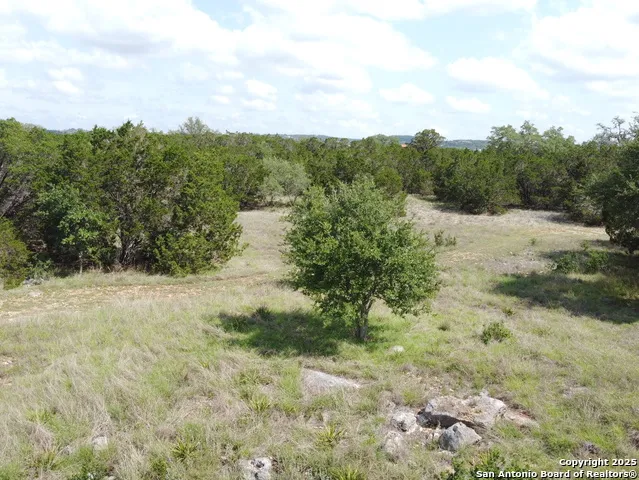 233 ROSINWEED DR Spring Branch, TX 78070