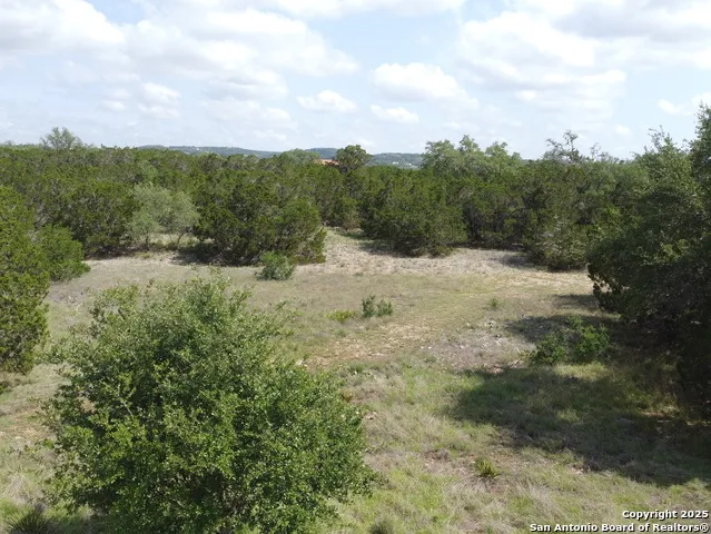 233 ROSINWEED DR Spring Branch, TX 78070