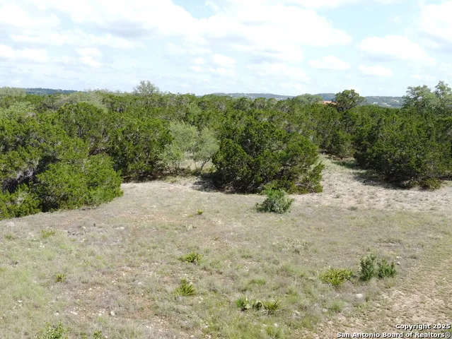 233 ROSINWEED DR Spring Branch, TX 78070