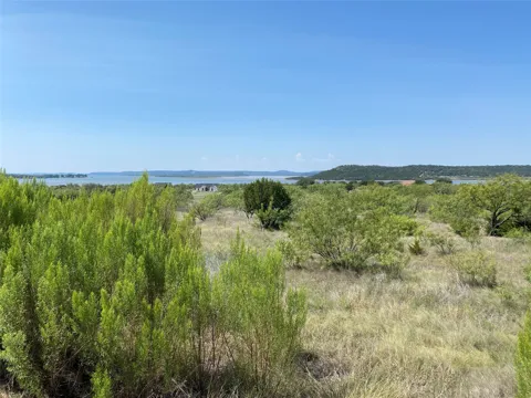 Cinnamon Teal Drive