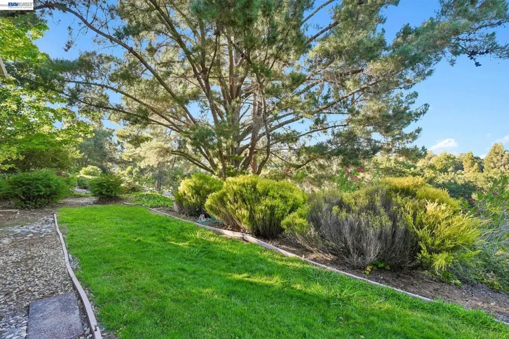 2749 Pine Knoll Drive ##2 Walnut Creek, CA 94595