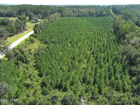 Pioneer Road