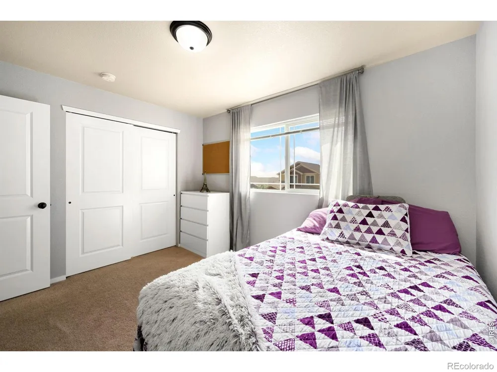 3077 Carney Street Loveland, CO 80538