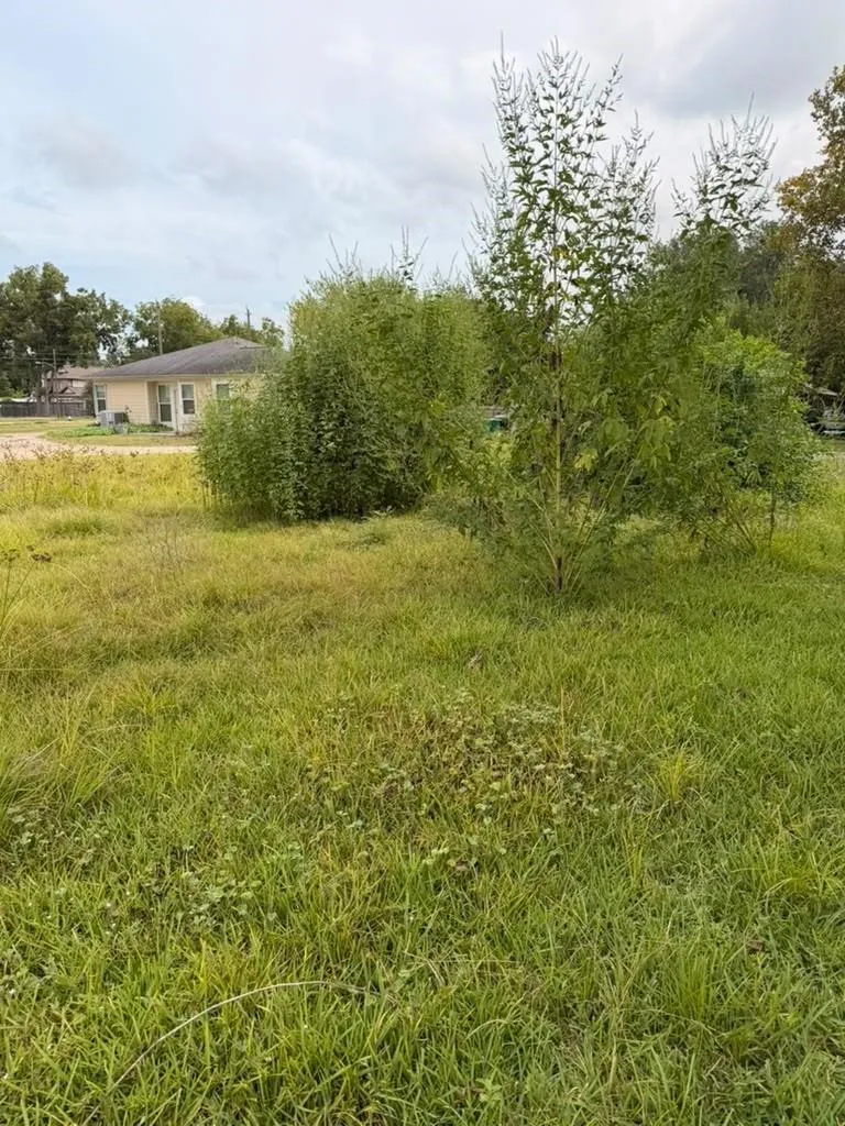 9511 Irby Street Houston, TX 77088