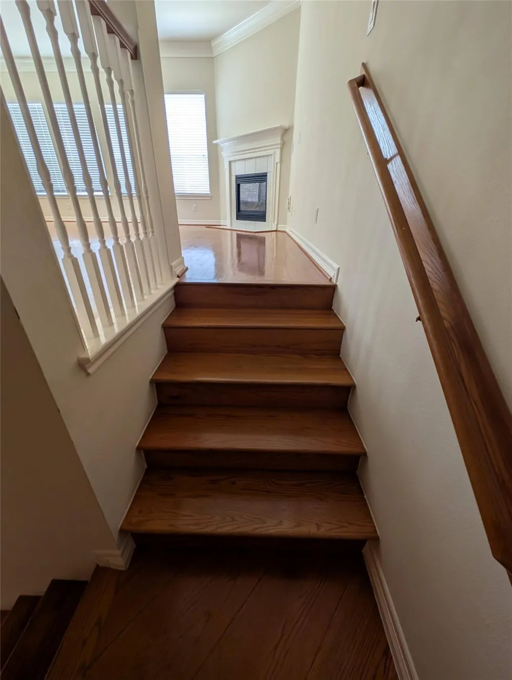 5302 Blossom Street Houston, TX 77007