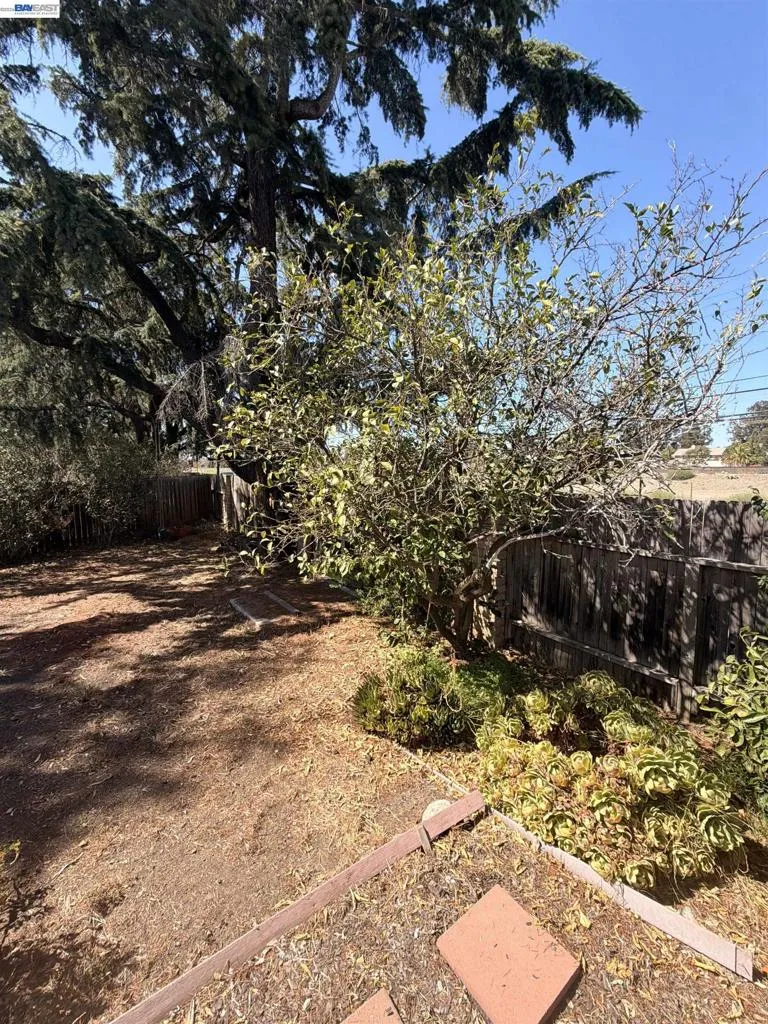 312 Robert Way Livermore, CA 94550