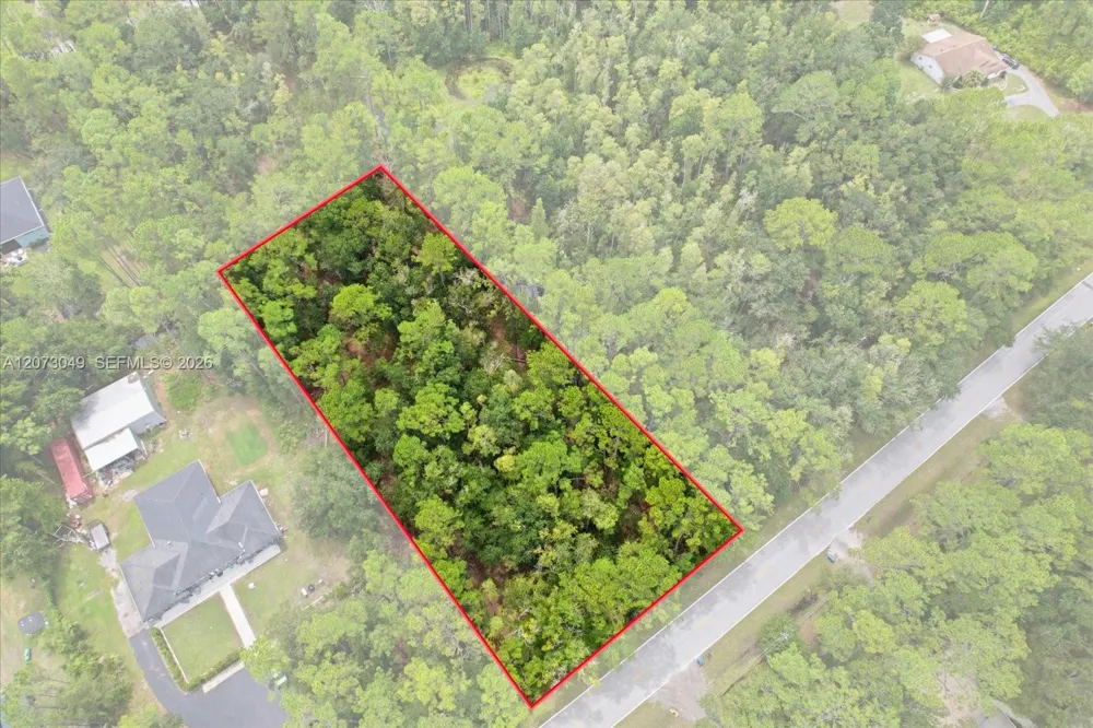 133 Green Willow Run Other City - In The State Of Florida, FL 33544