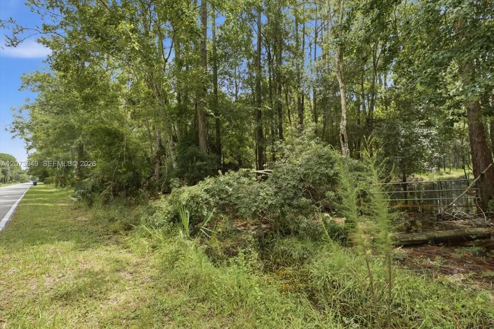 133 Green Willow Run Other City - In The State Of Florida, FL 33544