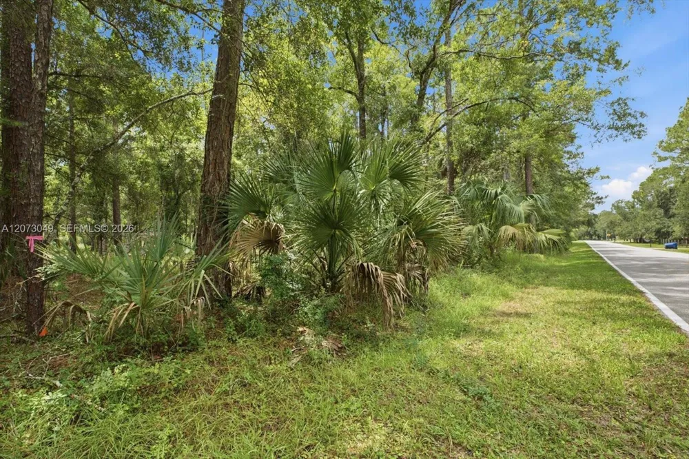 133 Green Willow Run Other City - In The State Of Florida, FL 33544