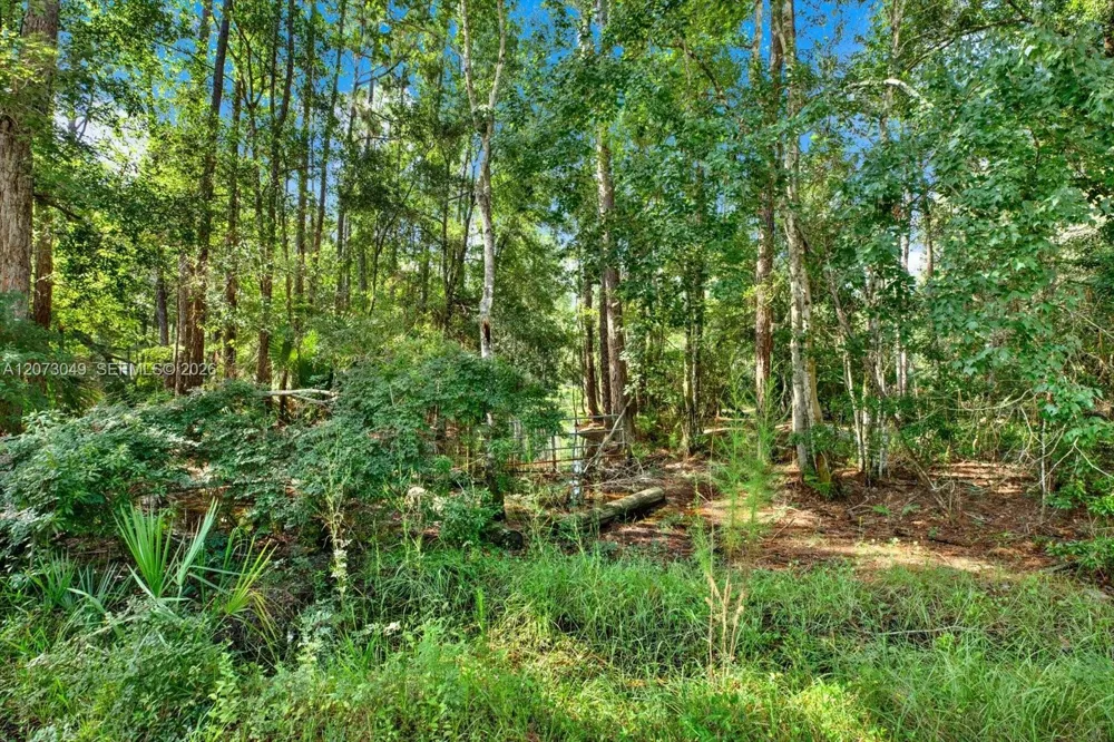 133 Green Willow Run Other City - In The State Of Florida, FL 33544