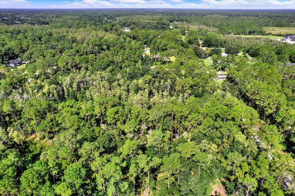 133 Green Willow Run Other City - In The State Of Florida, FL 33544