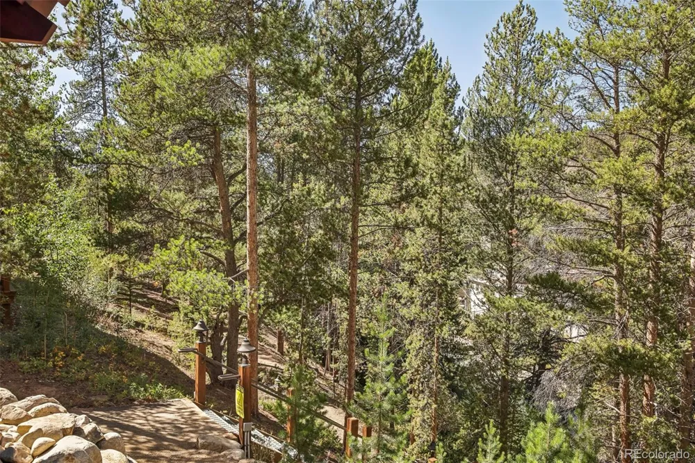 0139 Lake Ridge Circle #1870 Keystone, CO 80435
