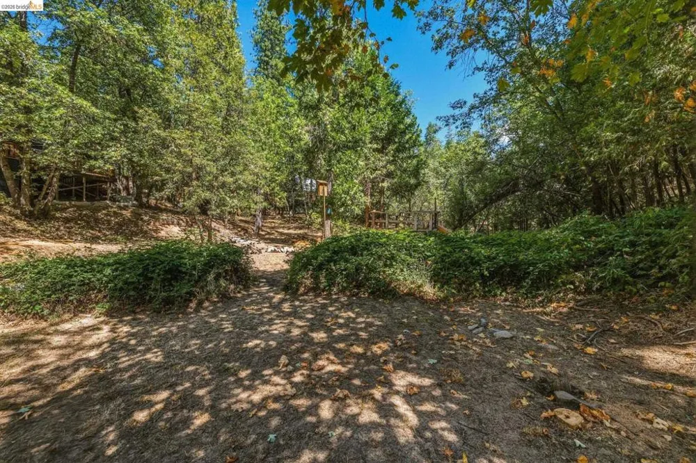 18814 Manzanita Dr Twain Harte, CA 95383