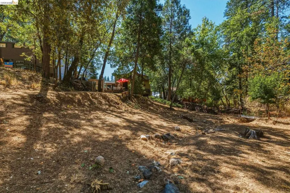 18814 Manzanita Dr Twain Harte, CA 95383