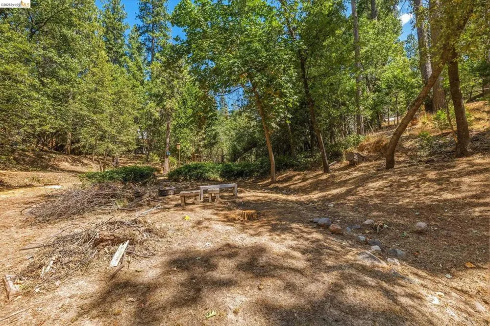 18814 Manzanita Dr Twain Harte, CA 95383