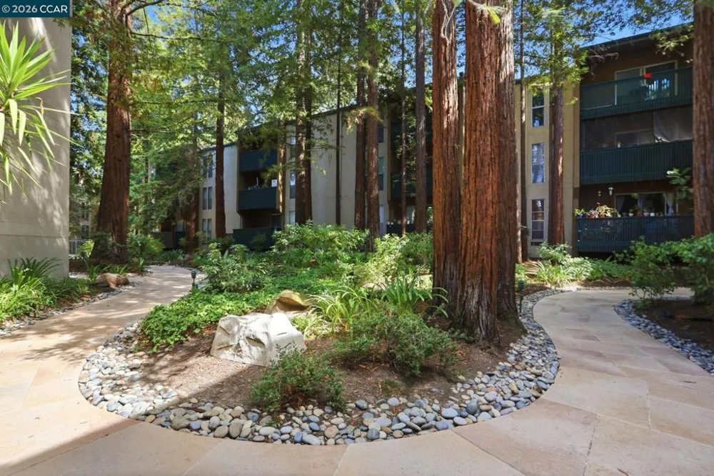 155 Sharene Ln #307 Walnut Creek, CA 94596