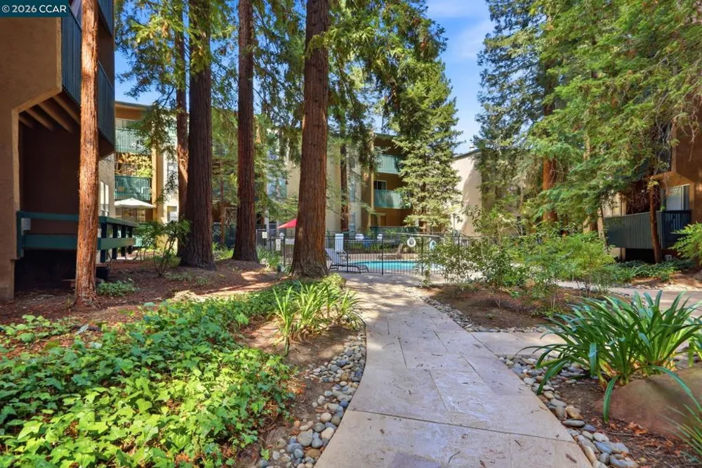 155 Sharene Ln #307 Walnut Creek, CA 94596
