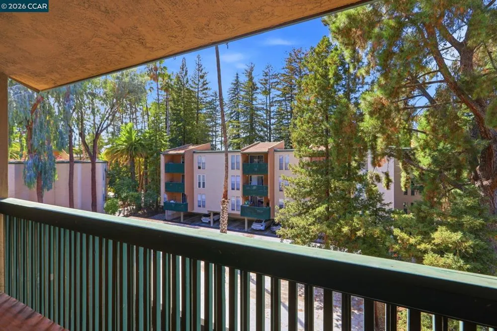 155 Sharene Ln #307 Walnut Creek, CA 94596