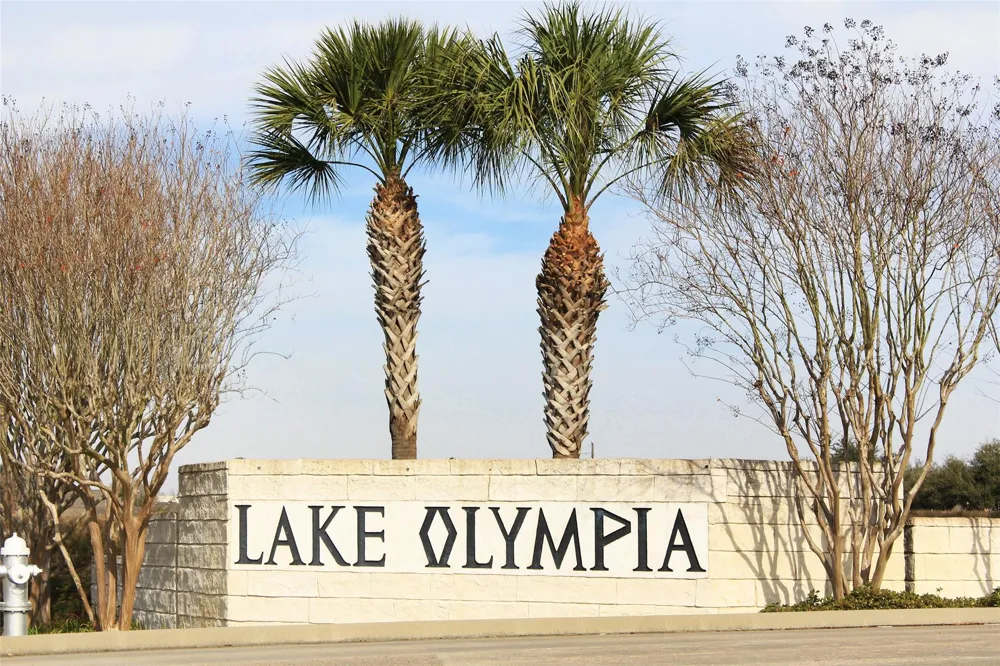 164 Flamingo Island Drive Missouri City, TX 77459