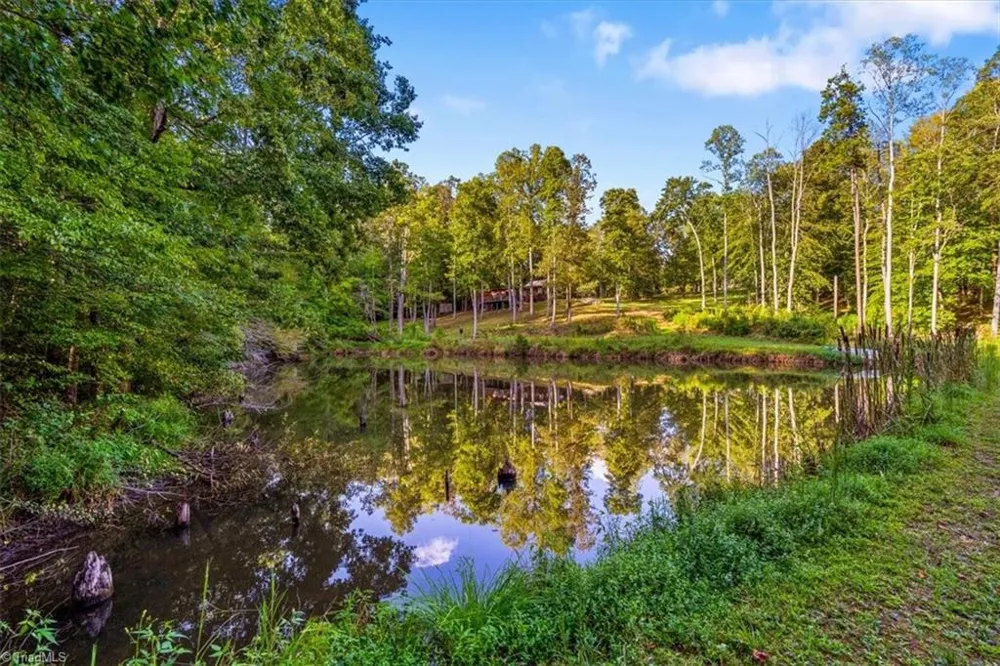 558 Throckmorton Road Madison, NC 27025