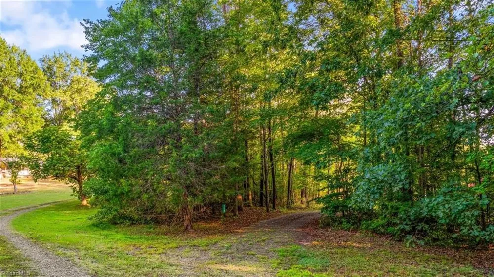 558 Throckmorton Road Madison, NC 27025
