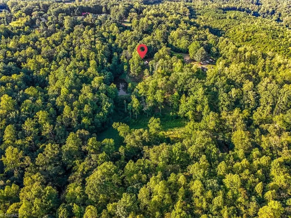 558 Throckmorton Road Madison, NC 27025