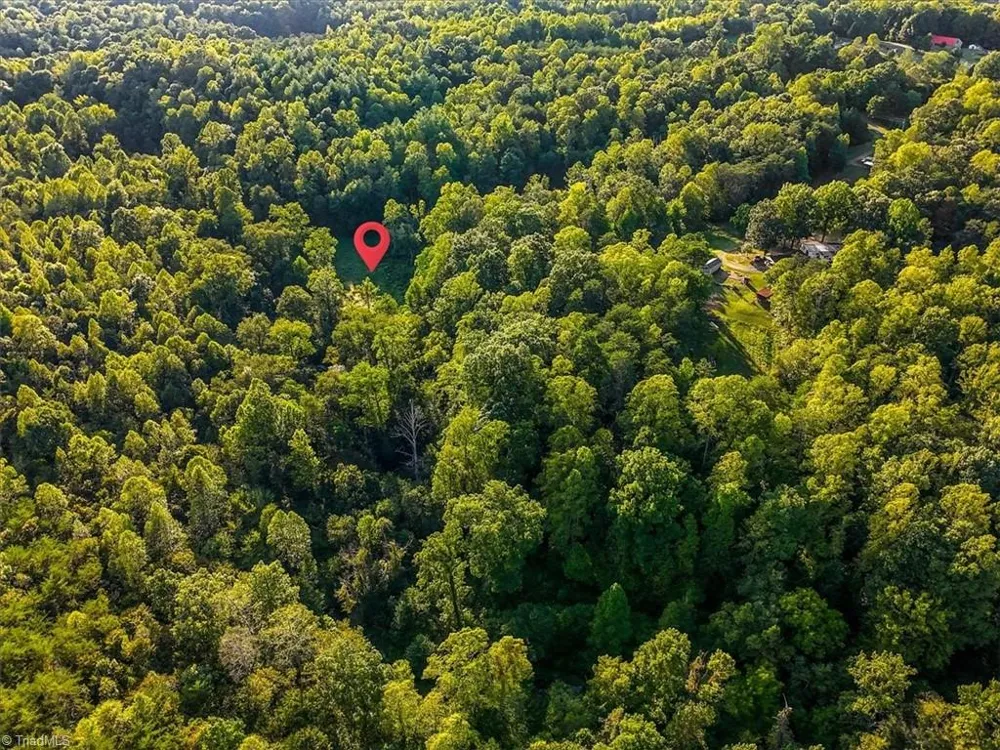 558 Throckmorton Road Madison, NC 27025