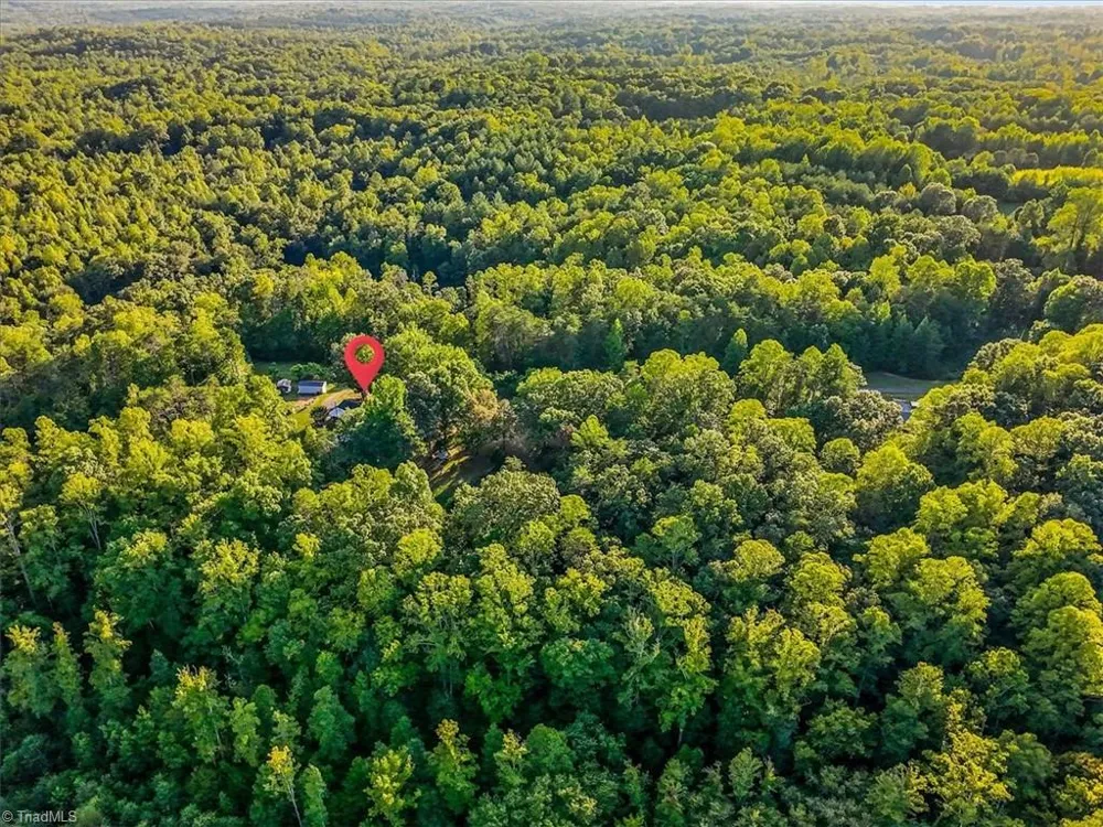558 Throckmorton Road Madison, NC 27025