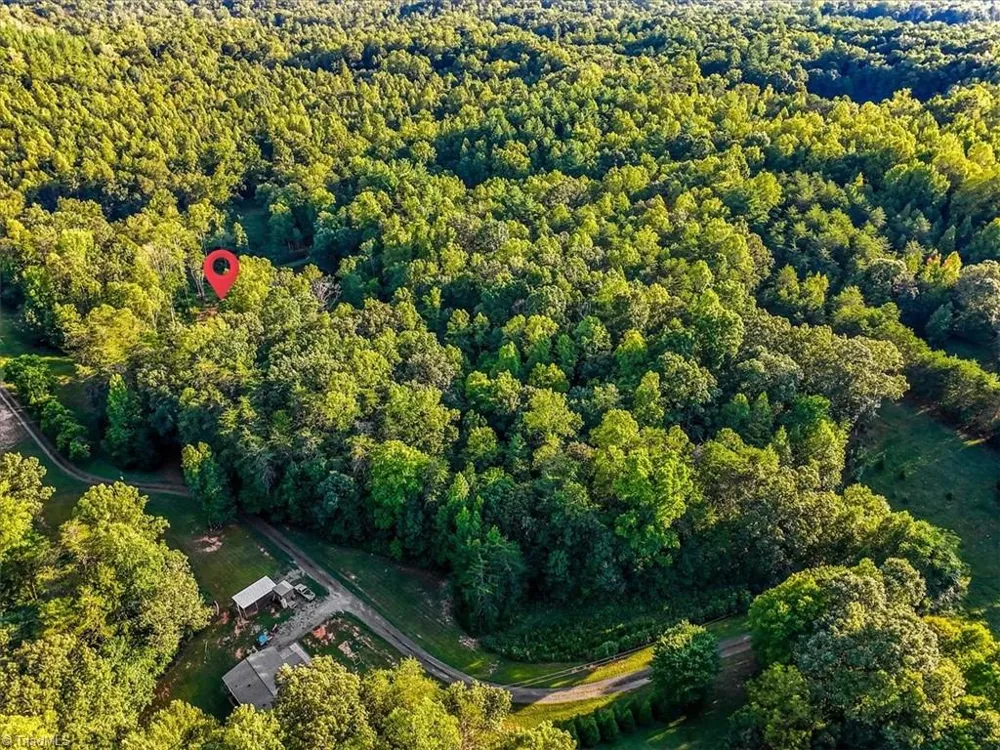 558 Throckmorton Road Madison, NC 27025