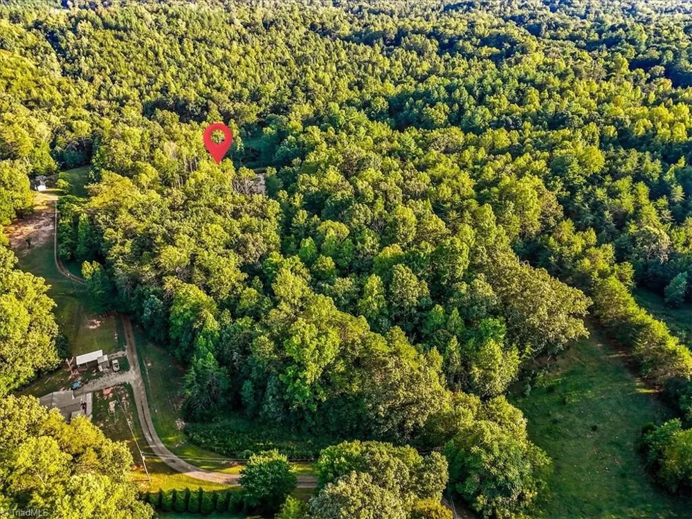 558 Throckmorton Road Madison, NC 27025