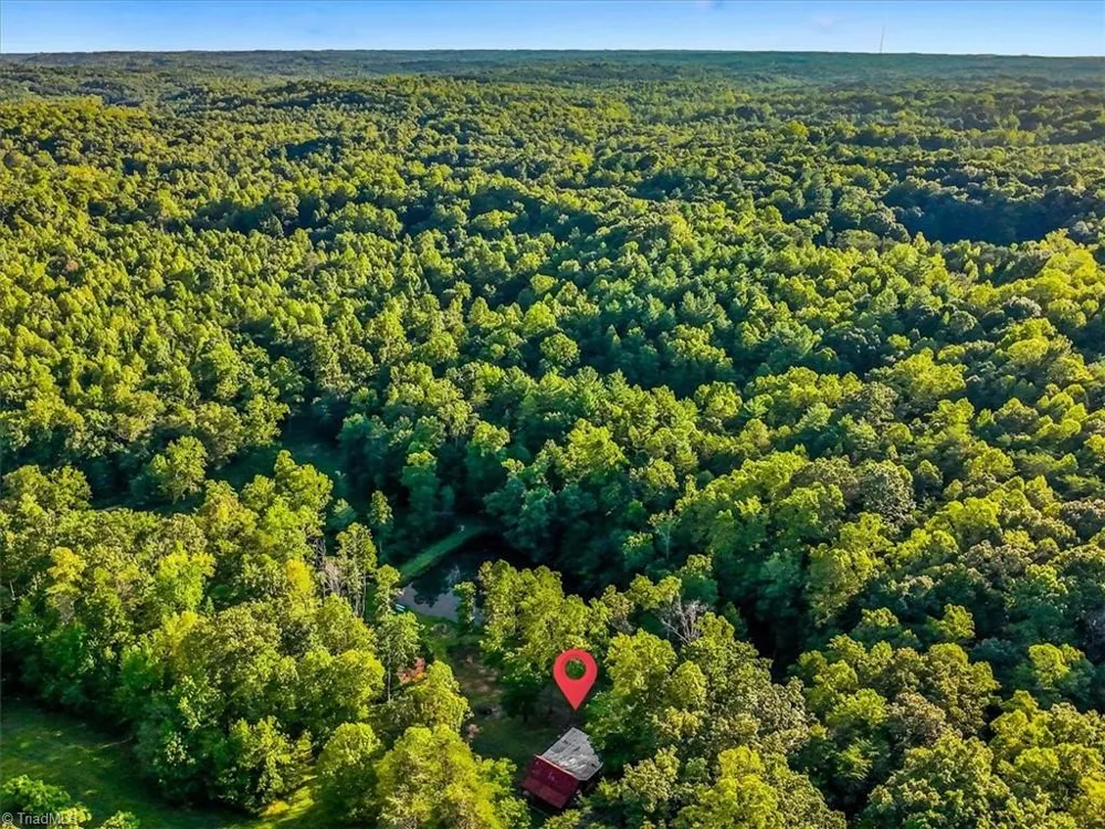 558 Throckmorton Road Madison, NC 27025