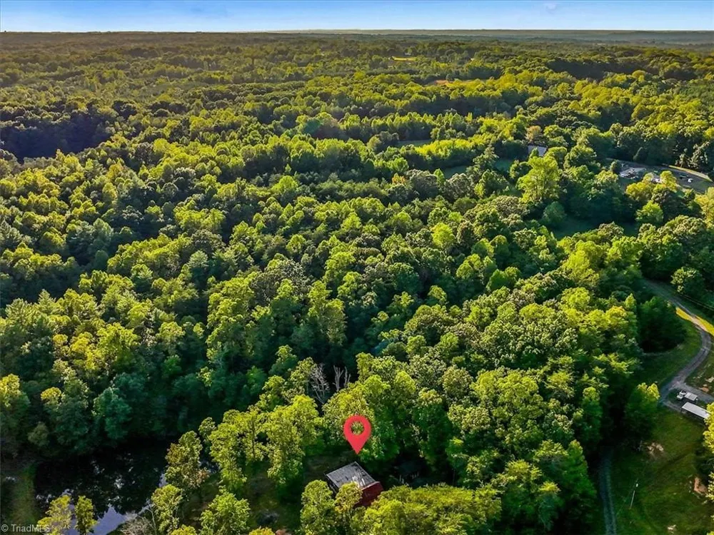 558 Throckmorton Road Madison, NC 27025