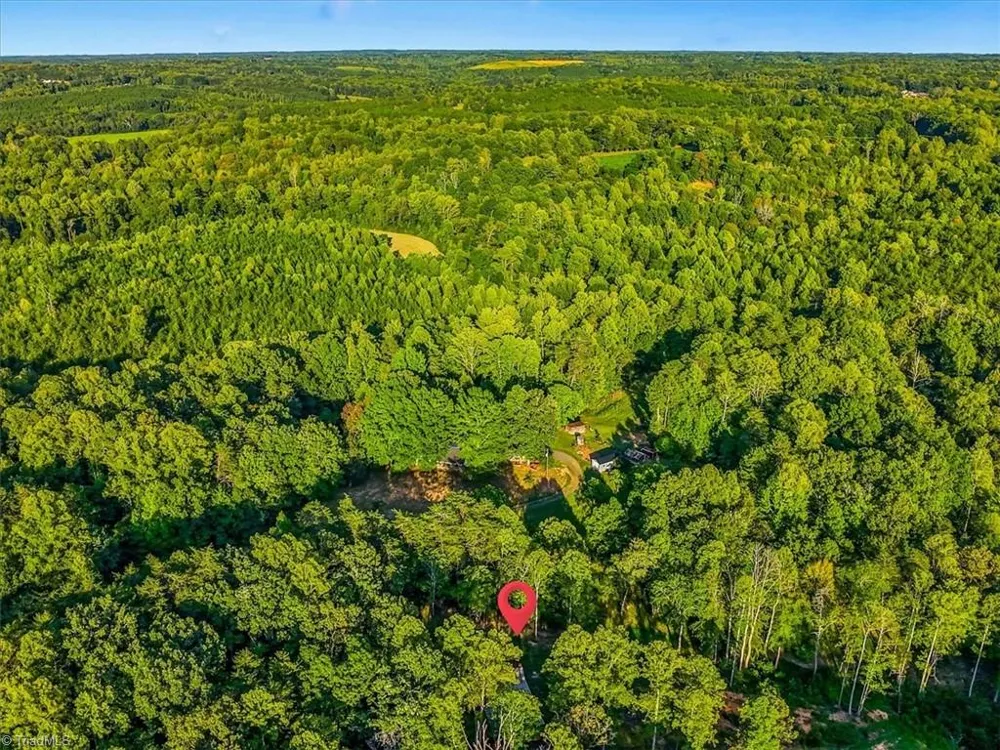 558 Throckmorton Road Madison, NC 27025