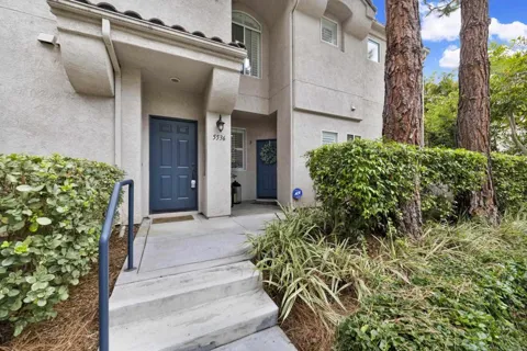 5536 Renaissance #2