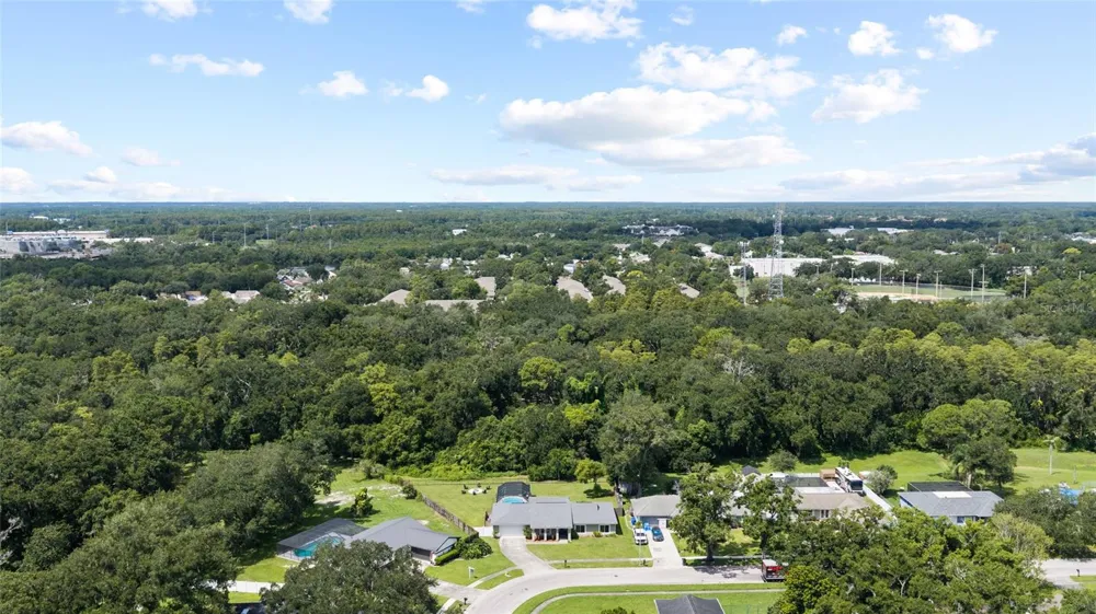 7231 WOODBROOK DRIVE Tampa, FL 33625
