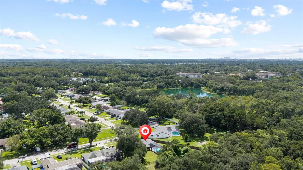 7231 WOODBROOK DRIVE Tampa, FL 33625
