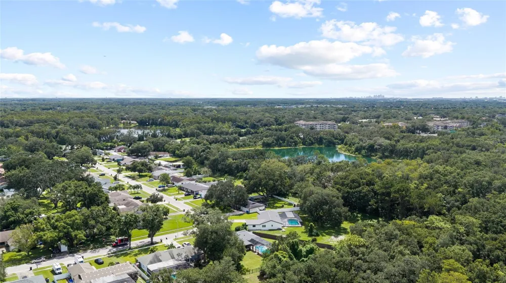7231 WOODBROOK DRIVE Tampa, FL 33625
