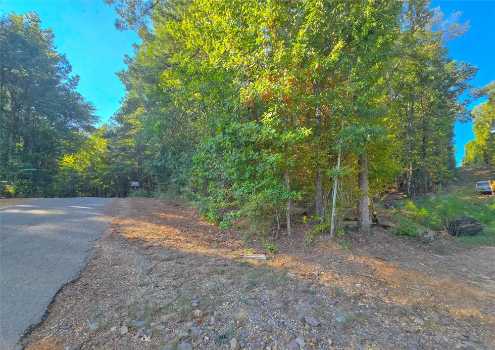 Rhea Road Homer, LA 71040
