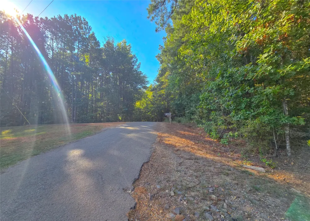 Rhea Road Homer, LA 71040