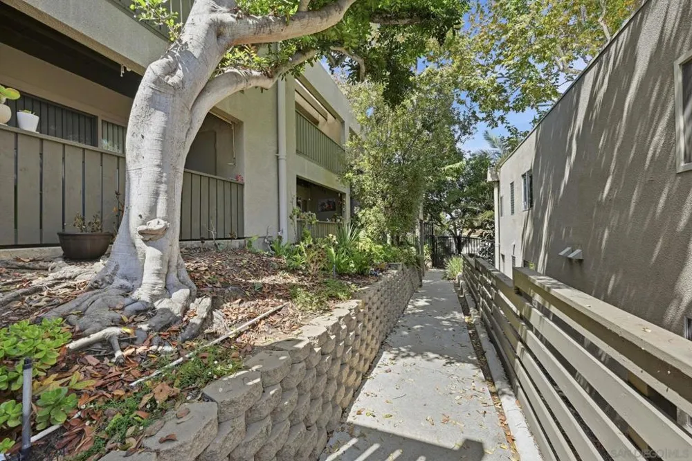 155 W Glaucus #C Encinitas, CA 92024